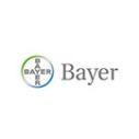 Bayer