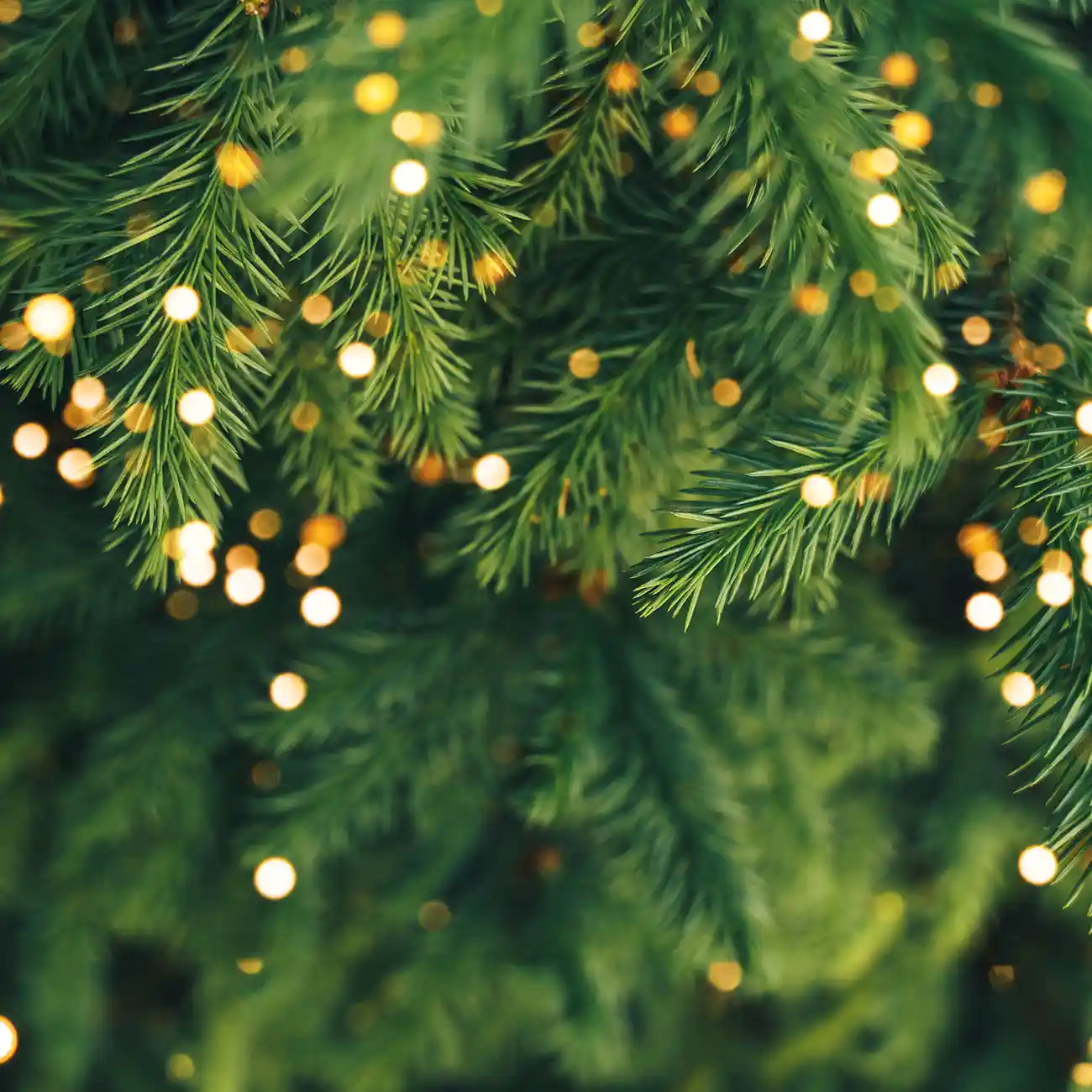 green events christmas