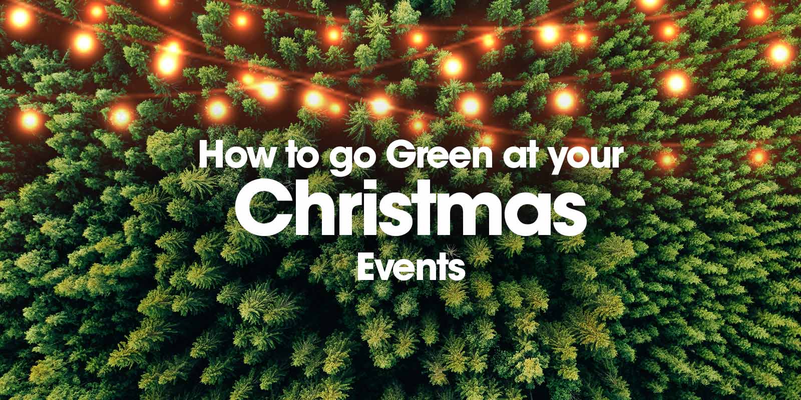 How to Go Green at Your Christmas Events Event management Ireland