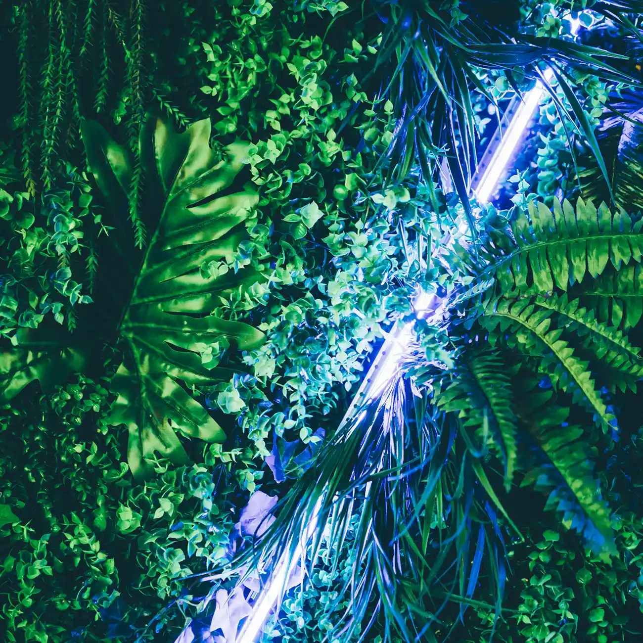 event sustainability